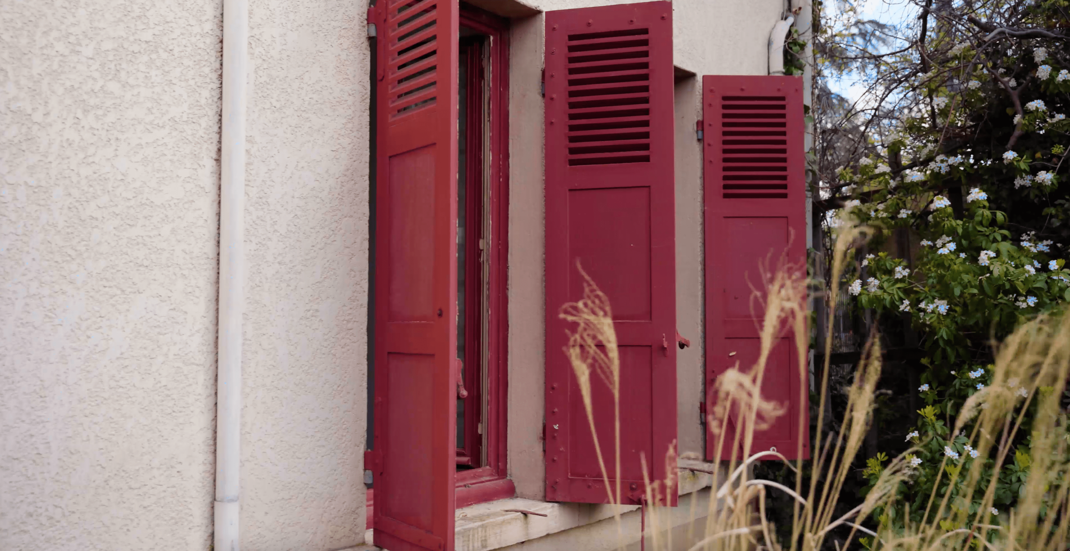 Photo du programmes neufs